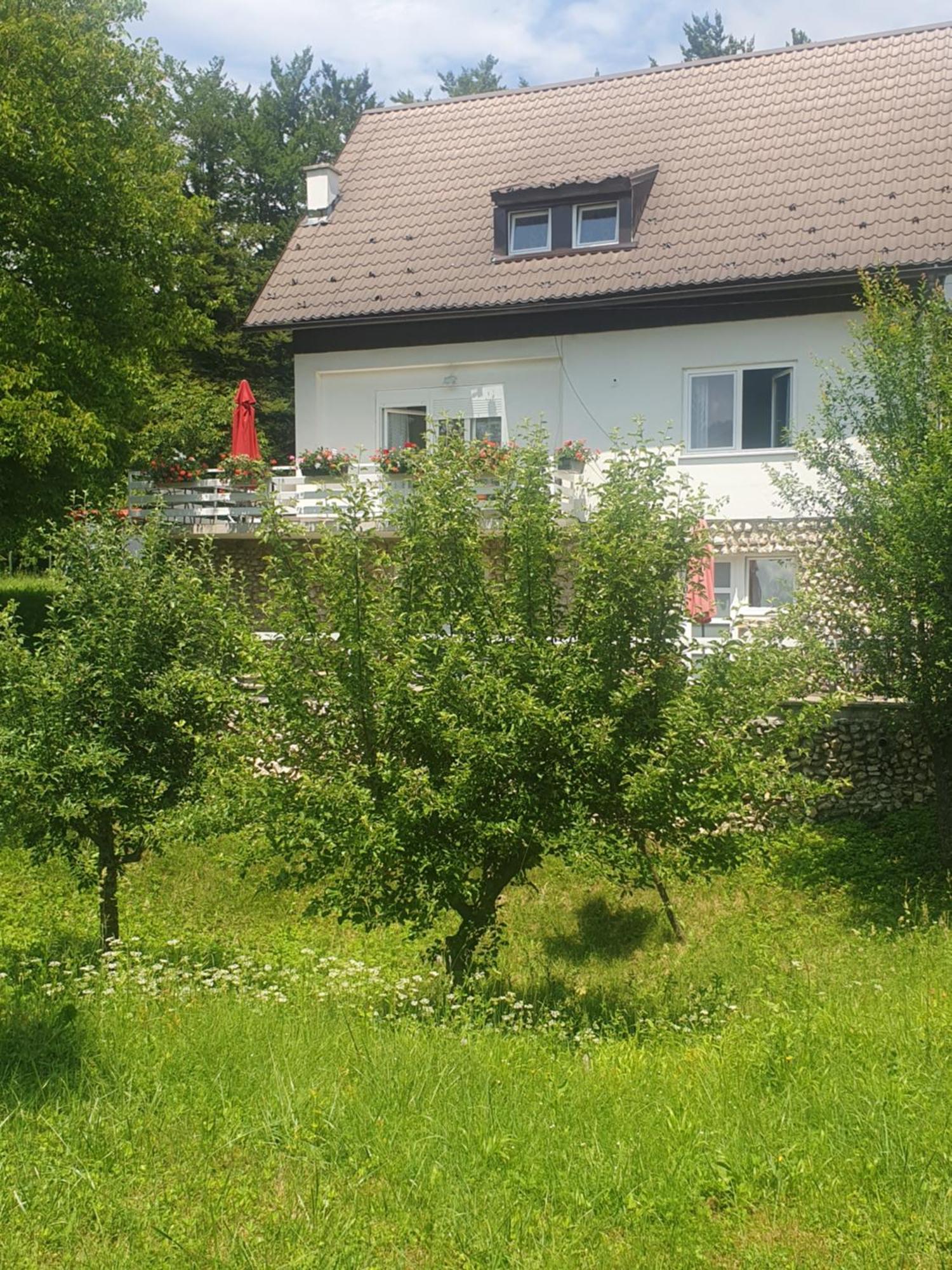 Guesthouse Nikola Plitvička Jezera Buitenkant foto