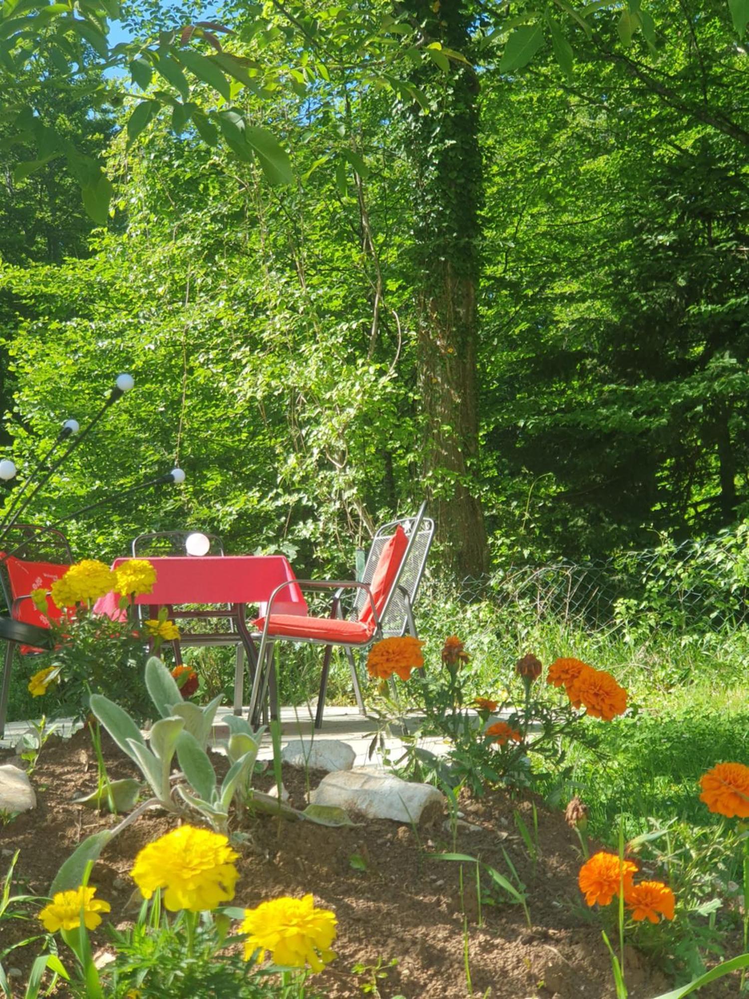Guesthouse Nikola Plitvička Jezera Buitenkant foto