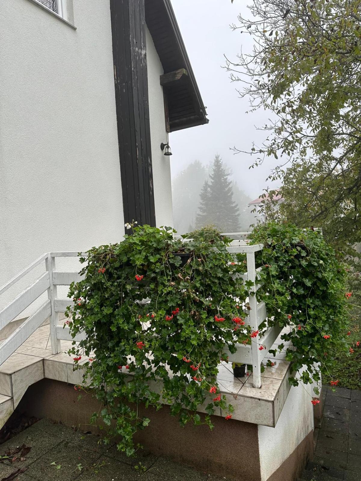 Guesthouse Nikola Plitvička Jezera Buitenkant foto